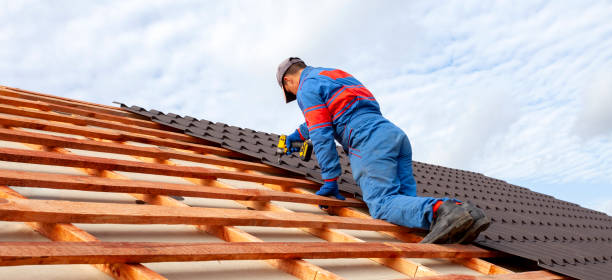 Best Roof Moss and Algae Removal  in Oak Park, MI
