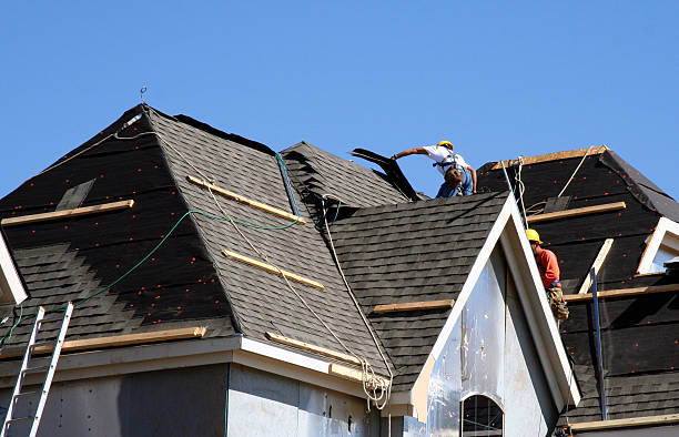 Best Metal Roofing Installation  in Oak Park, MI