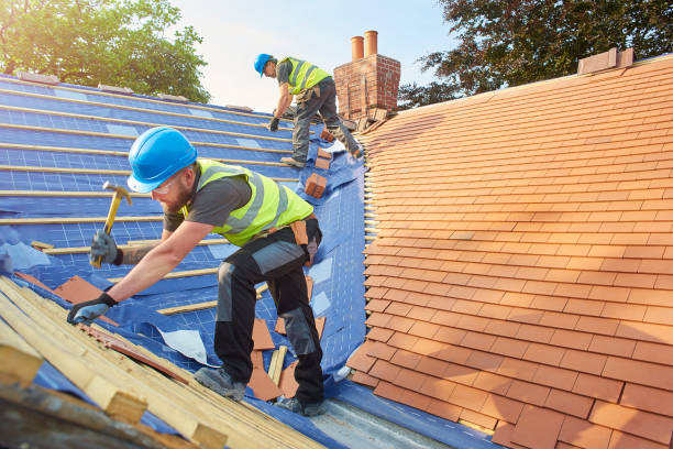 Best Gutter Installation and Repair  in Oak Park, MI